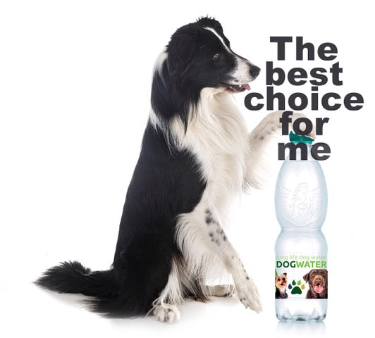 Long Life Dog Water