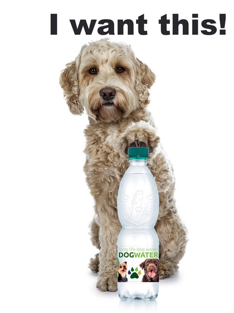 Long Life Dog Water