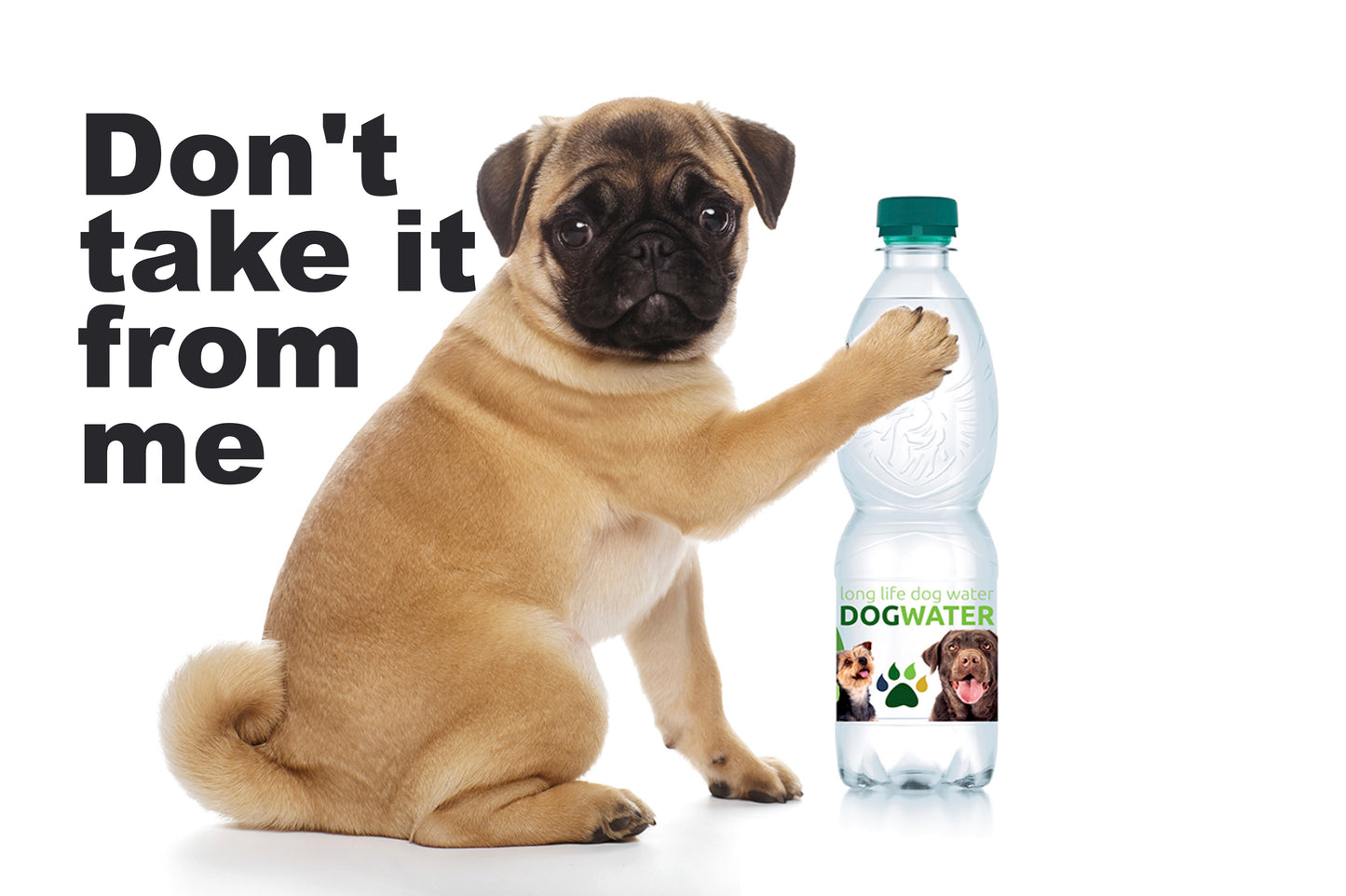 Long Life Dog Water