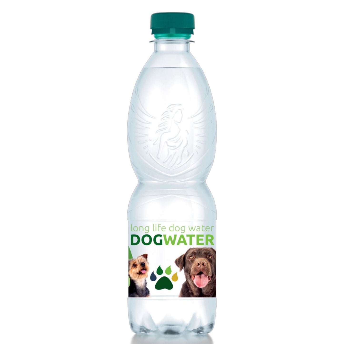 Long Life Dog Water
