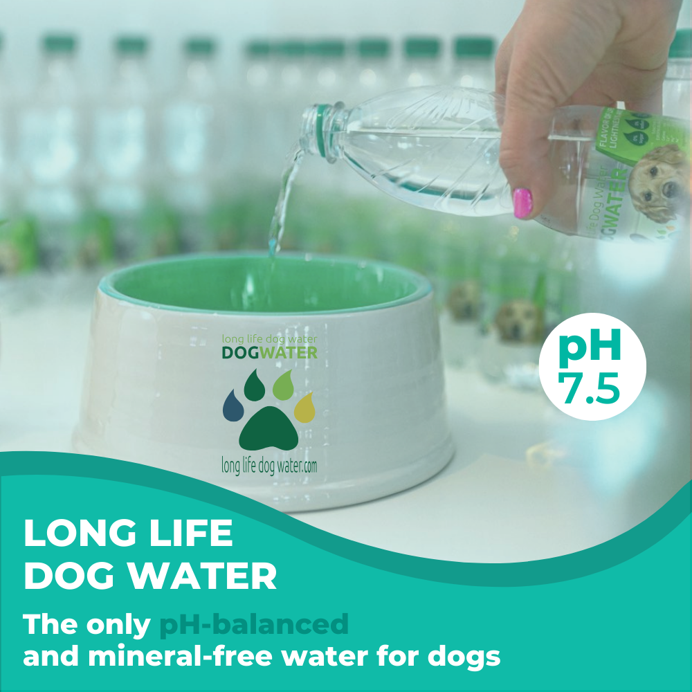 
                  
                    Long Life Dog Water - Daily Spring Canine Water, pH-Balanced Water for Dogs Improve Dog Hydration 12-Pack
                  
                