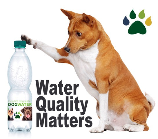 Long Life Dog Water