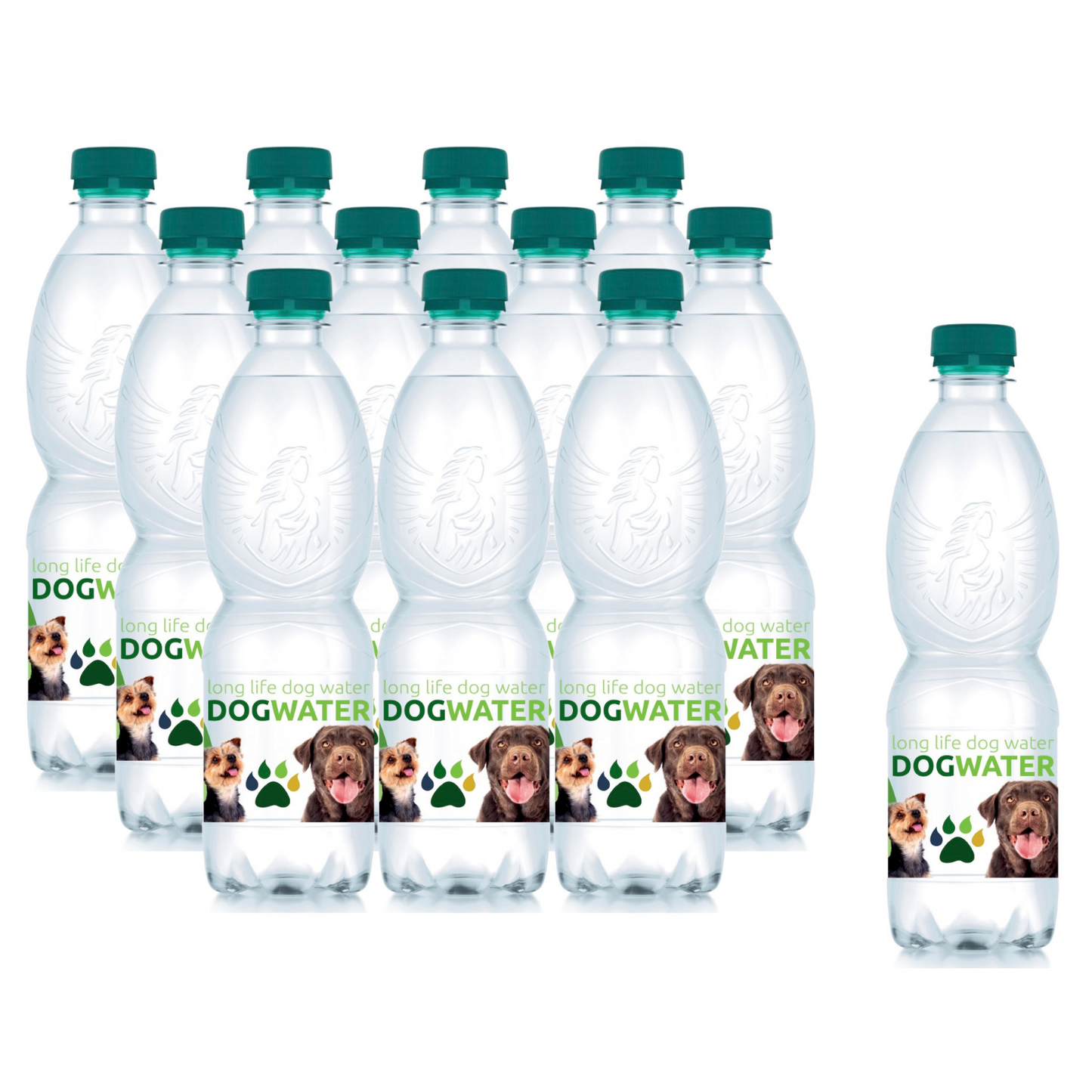 
                  
                    12 Pack Dog Water
                  
                